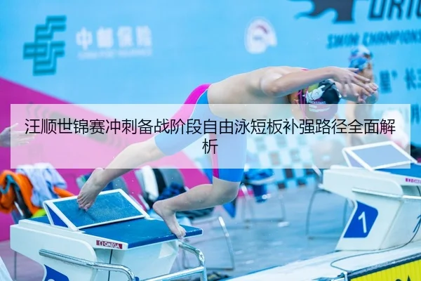 汪顺世锦赛冲刺备战阶段自由泳短板补强路径全面解析